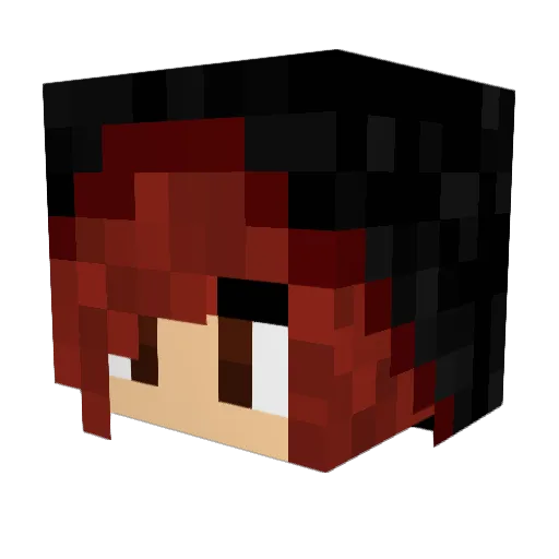 kill4karma Minecraft avatar head, 3D render