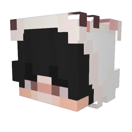 kill4remi Minecraft avatar head, 3D render