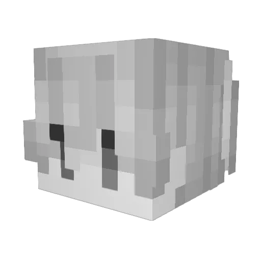 kill_suxi Minecraft avatar head, 3D render