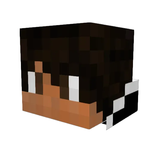 killawarbear Minecraft avatar head, 3D render