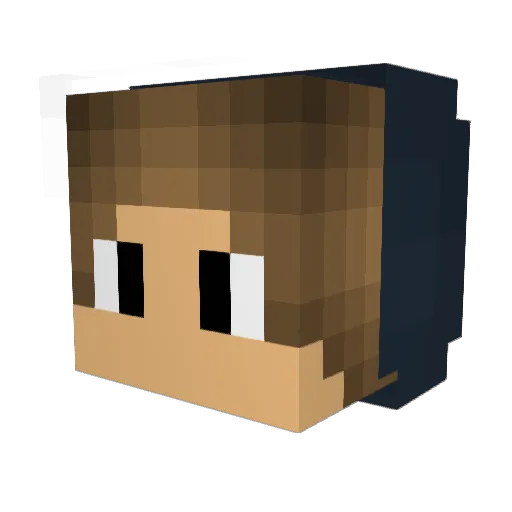 killbill11 Minecraft avatar head, 3D render