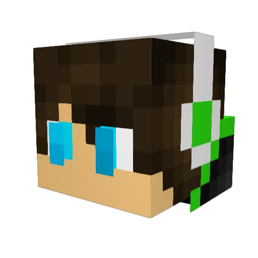 killer196977 Minecraft avatar head, 3D render