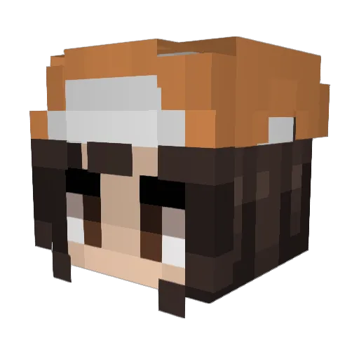 killer40406 Minecraft avatar head, 3D render
