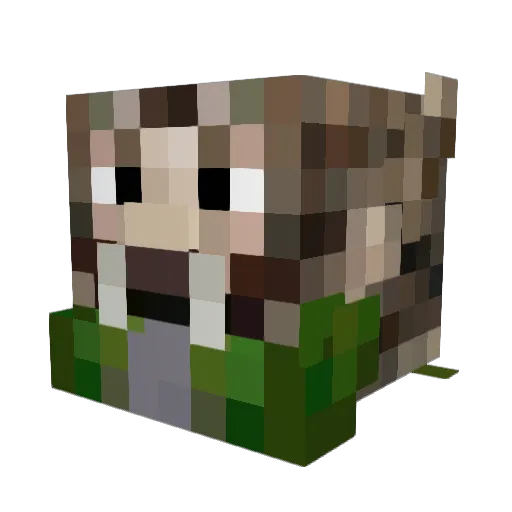 killer5757 Minecraft avatar head, 3D render