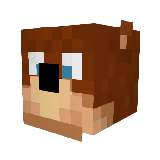 killerblade2011 Minecraft avatar head, 3D render