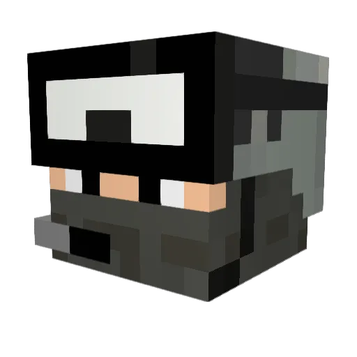 killerboi2754 Minecraft avatar head, 3D render