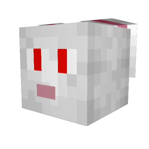 killerbunny979 Minecraft avatar head, 3D render
