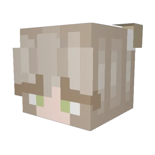 killercontractor Minecraft avatar head, 3D render