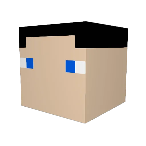 killerft545 Minecraft avatar head, 3D render