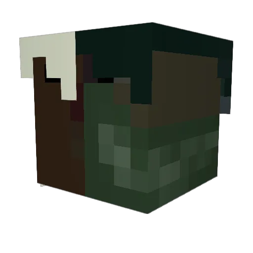 killerhamster Minecraft avatar head, 3D render
