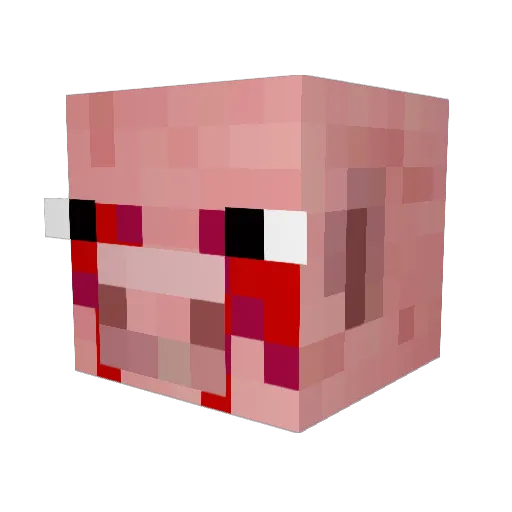 killerhooper Minecraft avatar head, 3D render