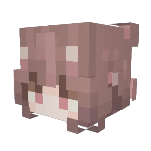 killerisrpvp Minecraft avatar head, 3D render