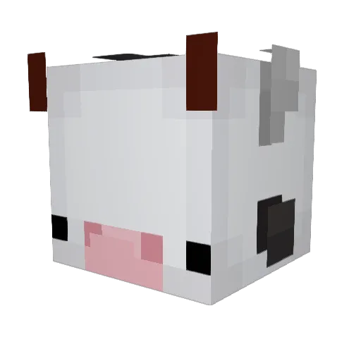 killerkiwi777 Minecraft avatar head, 3D render