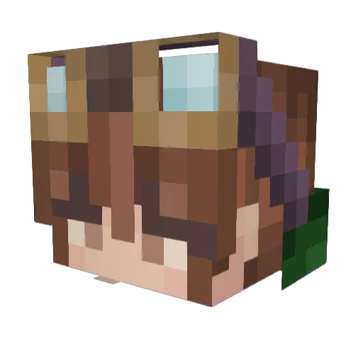 killerkuwalski Minecraft avatar head, 3D render