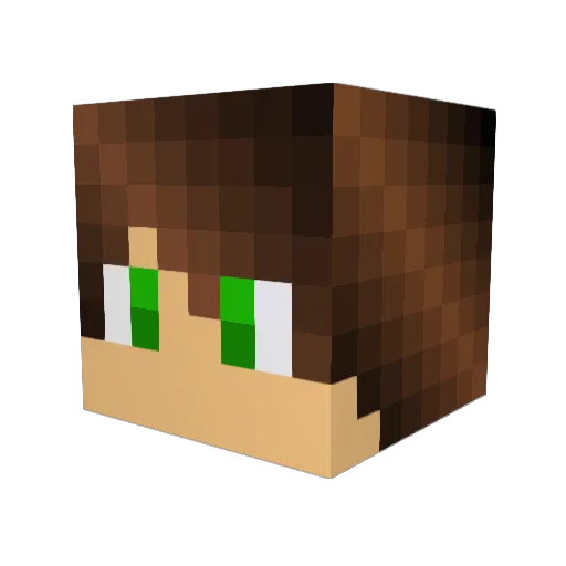 killerleo666 Minecraft avatar head, 3D render