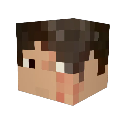 killerspaceship Minecraft avatar head, 3D render