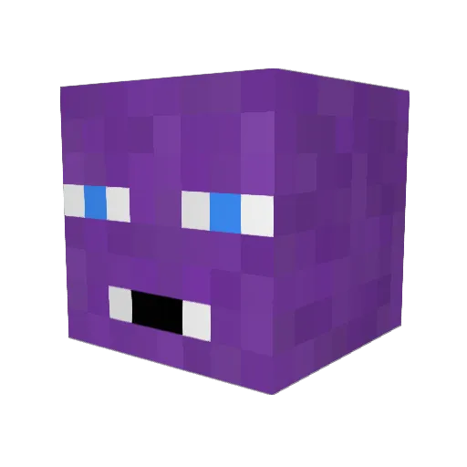 killerwaffles Minecraft avatar head, 3D render