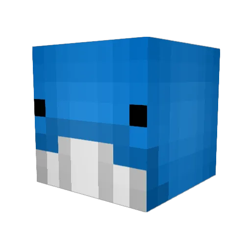 killerwhale0420 Minecraft avatar head, 3D render