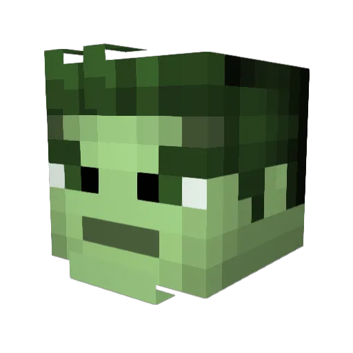 killerwolf2001 Minecraft avatar head, 3D render