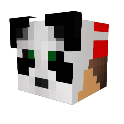 killerwulf16 Minecraft avatar head, 3D render