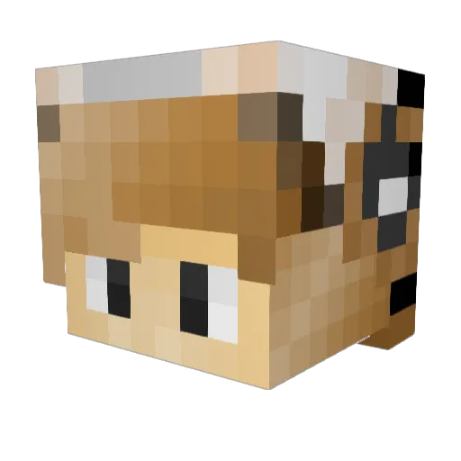 killing_syco Minecraft avatar head, 3D render
