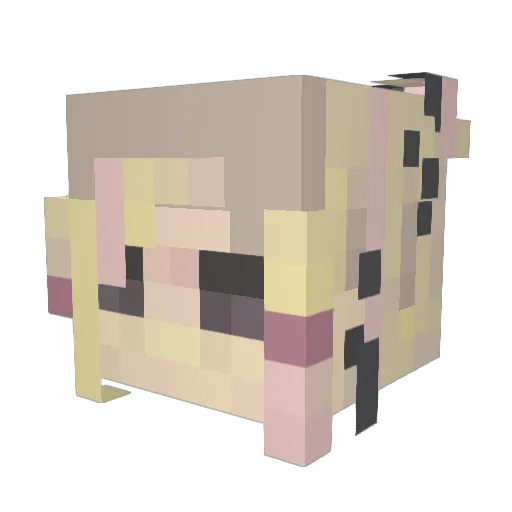 killish Minecraft avatar head, 3D render