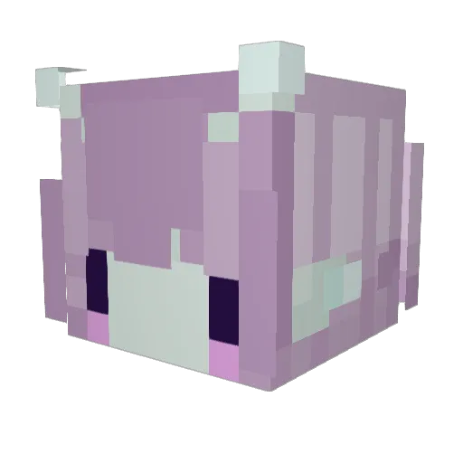killmeslowly164 Minecraft avatar head, 3D render