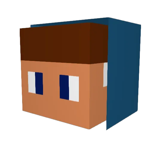 killsfox Minecraft avatar head, 3D render