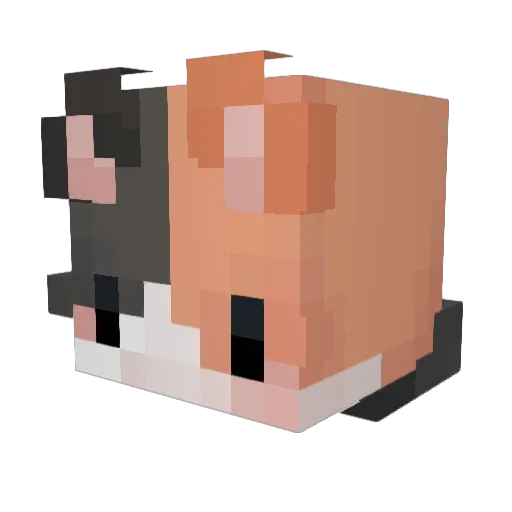 killuahxhs Minecraft avatar head, 3D render