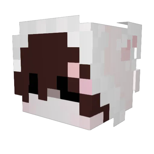 killuih Minecraft avatar head, 3D render