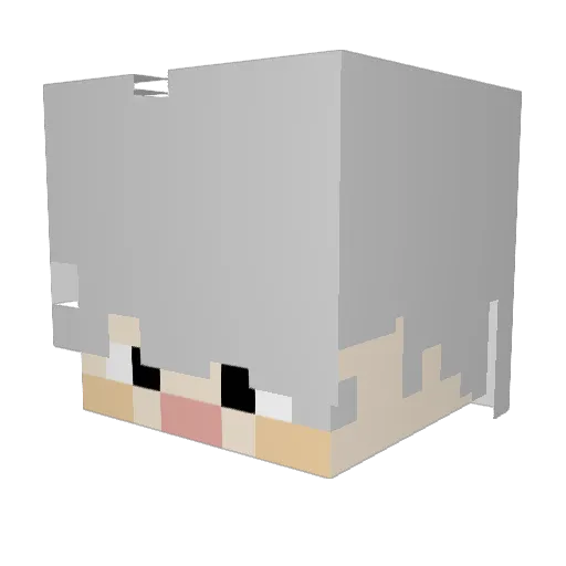 kim_0107 Minecraft avatar head, 3D render