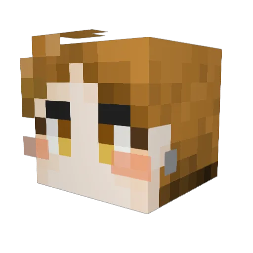 kim_jamong Minecraft avatar head, 3D render