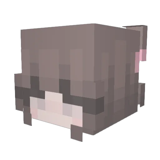 kim_mammoo Minecraft avatar head, 3D render