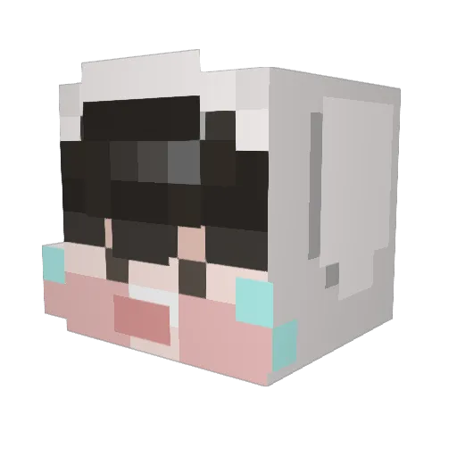 kim_zigun Minecraft avatar head, 3D render