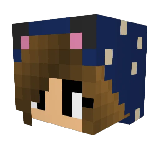 kimberlynwalters Minecraft avatar head, 3D render