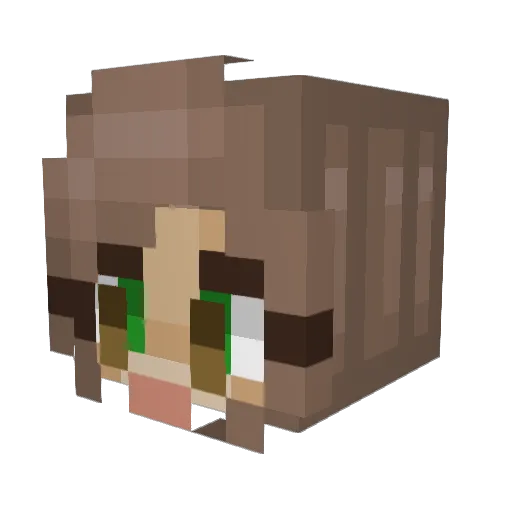 kimberlyyroyy Minecraft avatar head, 3D render