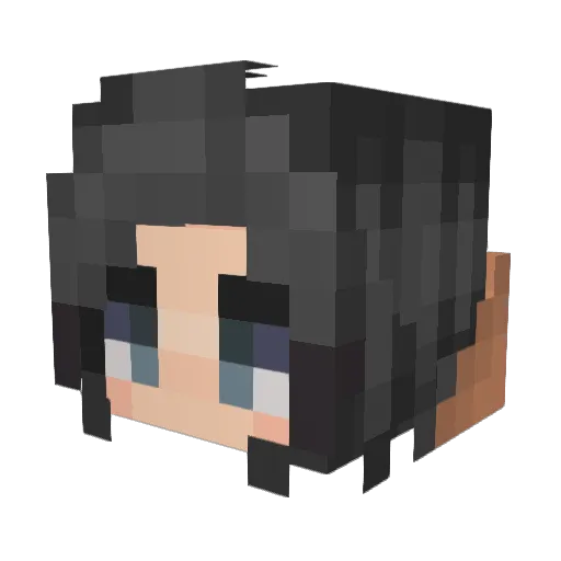 kimchipaste Minecraft avatar head, 3D render