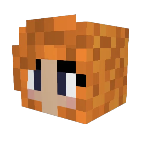kimi_dimi Minecraft avatar head, 3D render