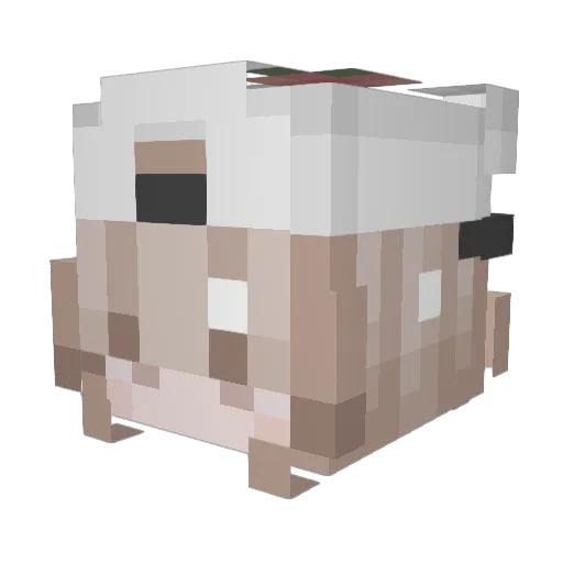 kimijah Minecraft avatar head, 3D render
