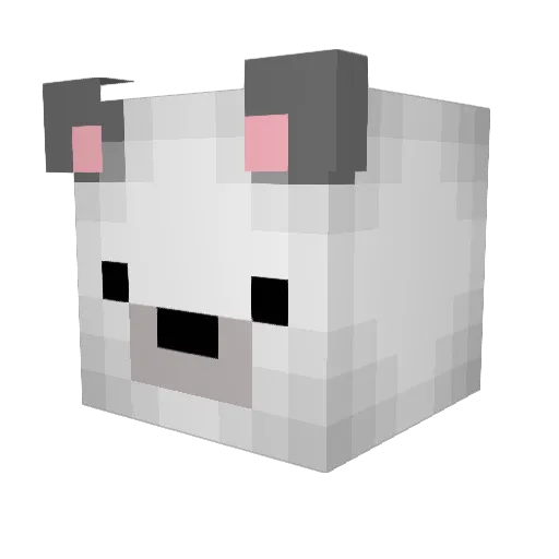 kimjunyeon Minecraft avatar head, 3D render