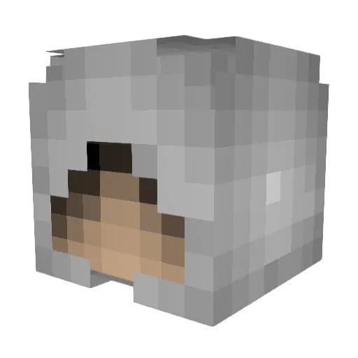 kimkonge Minecraft avatar head, 3D render