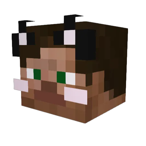 kimmiepees Minecraft avatar head, 3D render