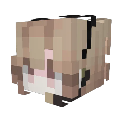 kimnodong_12 Minecraft avatar head, 3D render