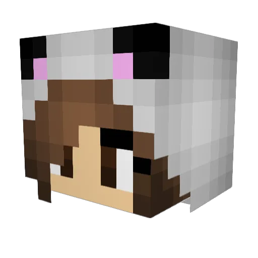 kimpanda1 Minecraft avatar head, 3D render