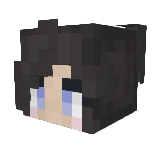 kimpoups Minecraft avatar head, 3D render