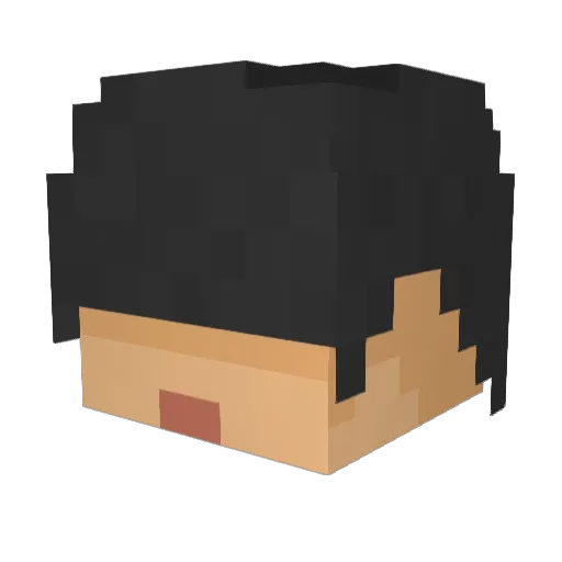 kimsungju96 Minecraft avatar head, 3D render