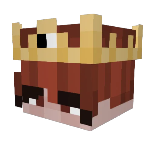 kimtaehoon0517 Minecraft avatar head, 3D render