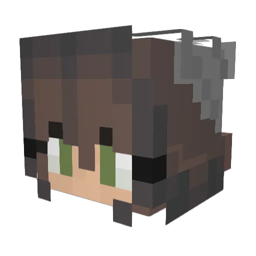 kimtastix Minecraft avatar head, 3D render