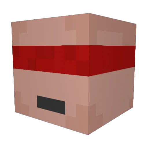 kimwootae Minecraft avatar head, 3D render
