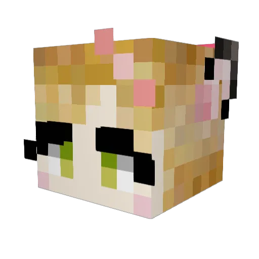 kinami9 Minecraft avatar head, 3D render